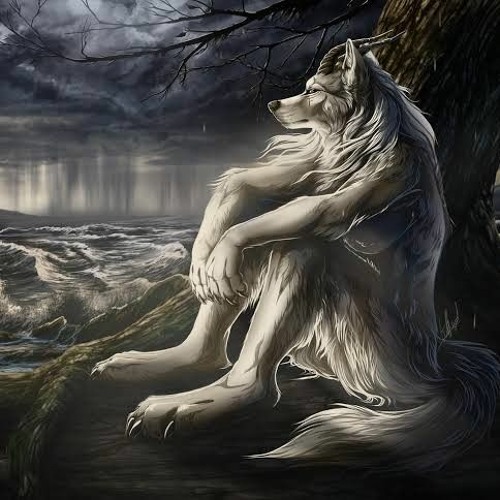 - 97997ALMONDS  Not For Me