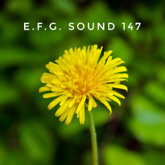 E.F.G. Sound 147