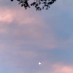 Gate to the Moon