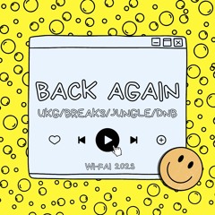 Back Again 2023 Mix - UKG/Breaks/Jungle/DnB