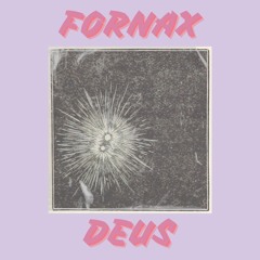 FORNAX set