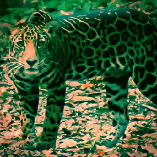 Max Animus - To Have or To Be [The Path 2/2 ~ BreathWork + Tribal Techno & Prog House + Deep Wisdom]