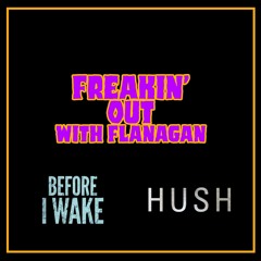 Ep 335: Freakin' Out with Flanagan - Before I Wake & Hush