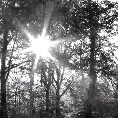 Liminal