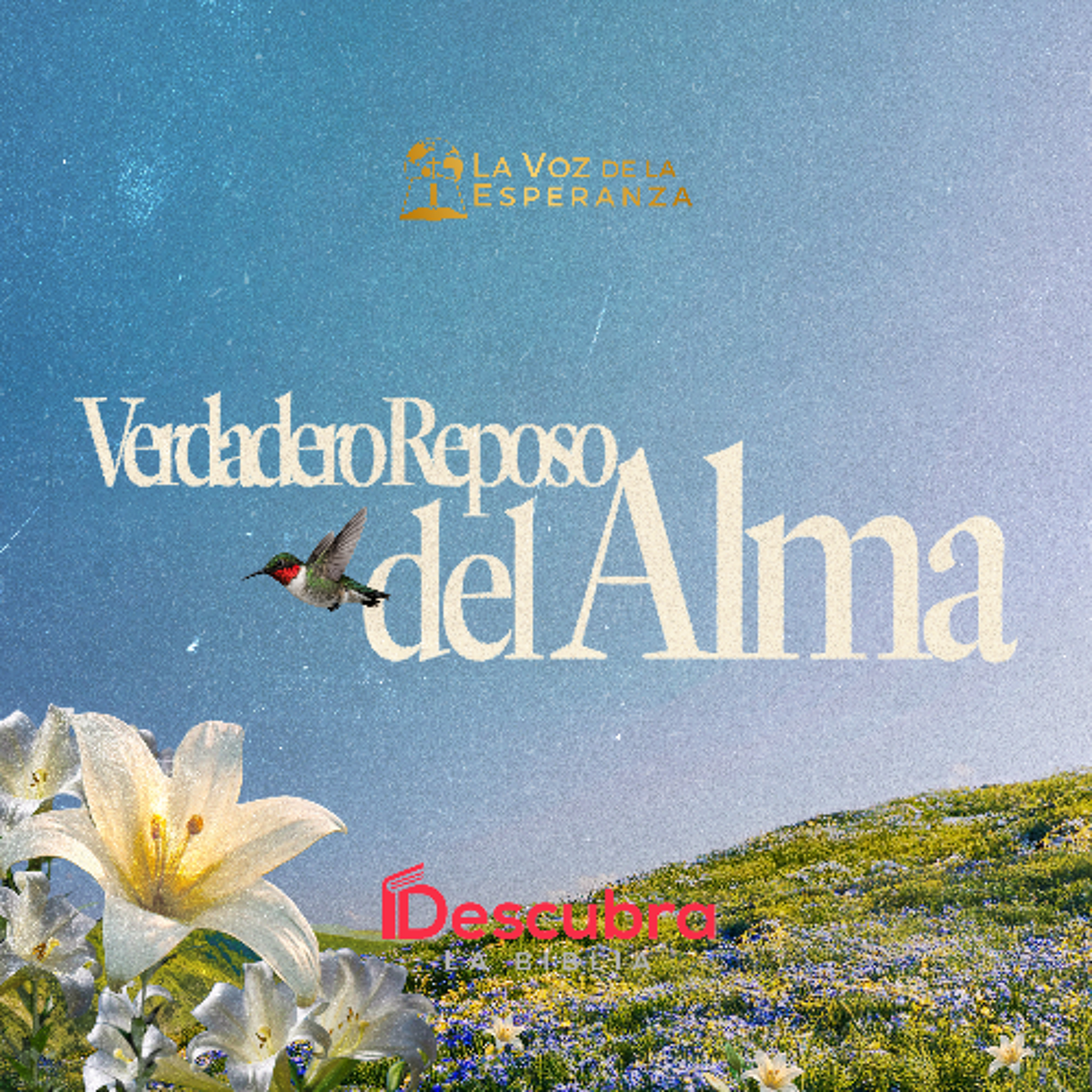 El Verdadero Reposo del Alma
