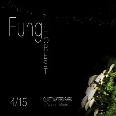 Live @ Fungi Forest