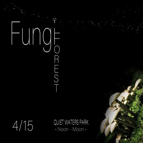 Live @ Fungi Forest