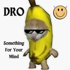 DRO - SOMETHING FOR YA MIND