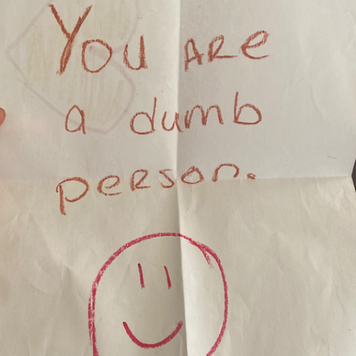 you are a dumb person