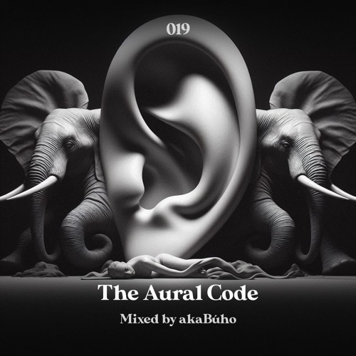 The Aural Code #19 Mixed By akaBúho