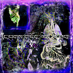 ༽།২২২ઘૃણાસ્પદܦথ্য∮ྗℵിהതרദℵཇཇཇ