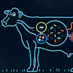 funny cow