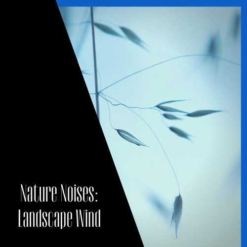Stream Summer Storm by ASMR Wind Channel | Listen online for free on ...