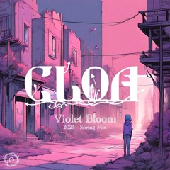 Violet Bloom - 2025 Spring Mix