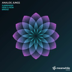 PREMIERE: Analog Jungs - Surrender [Meanwhile Recordings]