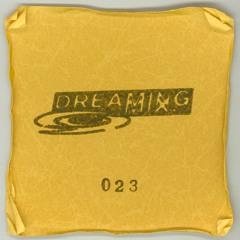 DREAMING 023 : Yukke - MOLDIVE at NOON 19 NOV 2022
