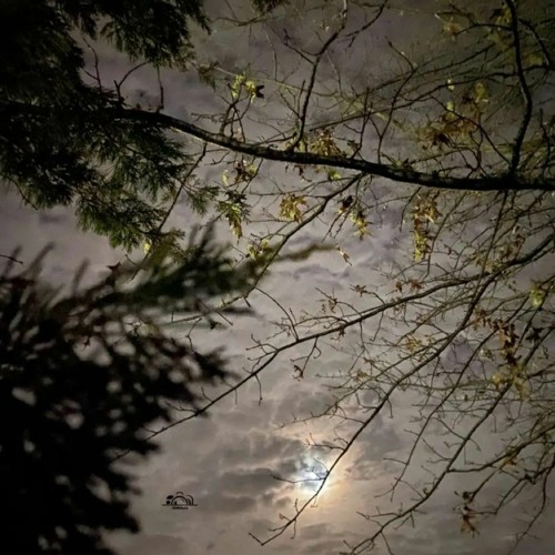 اهتم فيني-عبدالمجيد عبدالله