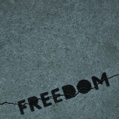 Freedom (feat. Moeazy)