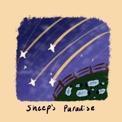 Falling Stars In A Sheep Pen