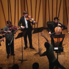 Blossom, pollen (live)