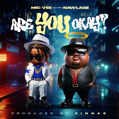 Mic Vee - Are You Okay (feat Nawlage) Prod By. Fingaz