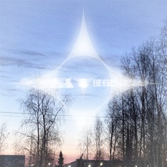 amelia's miracles (p. della robbia)