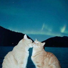 Luv this way v1