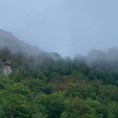 AKNUME