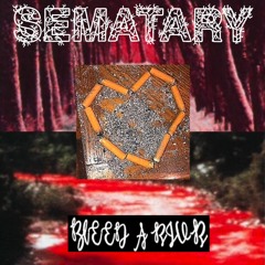 SEMATARY - BLEED A RIVER