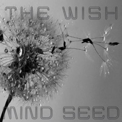 The Wish
