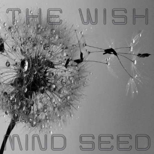 The Wish