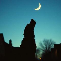 Agler and Beretta.wav