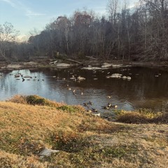 don’t waste my time