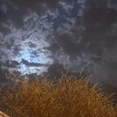 - انت القَمر :( .