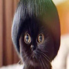 CODY MAN - FINALLY RICHER