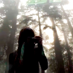 r07 1n gr3y // pr0duc3d by gusuck