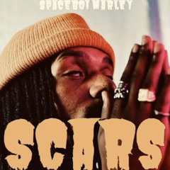 Spaceboi Marley - Scars