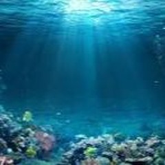 水中散歩