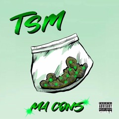 TSM- MA CONS V2