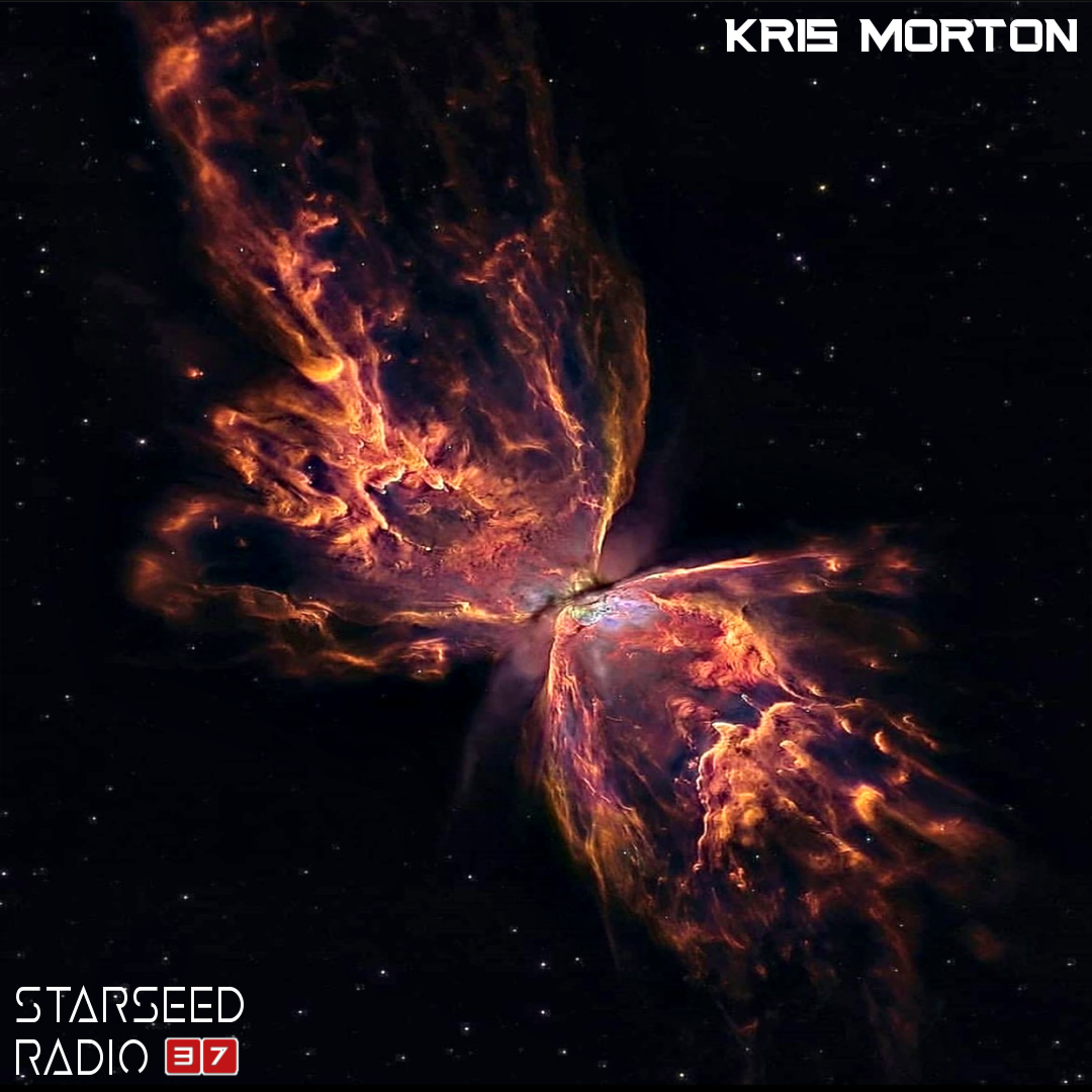 Kris Morton