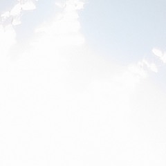 flying dreamlake