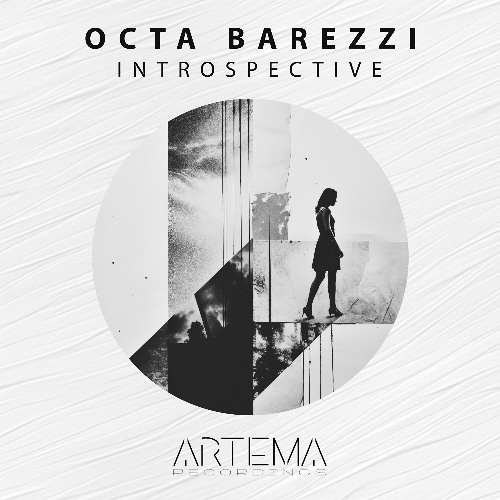 Octa Barezzi - Shake It (Artema Recordings)