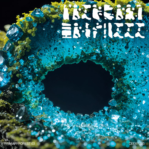 Pugilist & Forest Drive West - Polygon [CEEXYZ05]