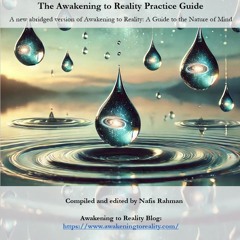 The Awakening to Reality Practice Guide