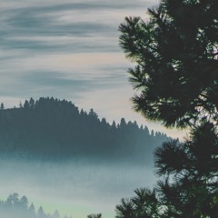 Relaxing Wind and Water - a mix for masking tinnitus (free download)