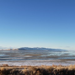 On The Shores Of Oak And Pine