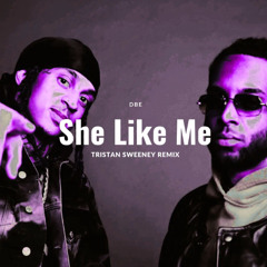 DBE - She Like me (Tristan Sweeney Remix)