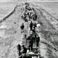 Walkin' Boss (WTJB) 1-29-26 v1.4