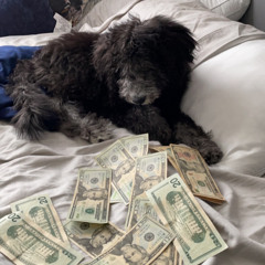 notsafe (prod. greed)