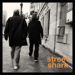 Street Shark